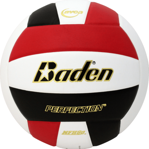  BADEN PERFECTION LEATHER VOLLEYBALL (VX5EC)