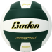  BADEN PERFECTION LEATHER VOLLEYBALL (VX5EC)